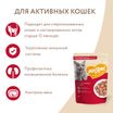 Влажный корм Мнямс На каждый день Кусочки в соусе с телятиной для активных кошек 85 г — фото 5