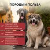 Лакомство Мнямс Деликатес Пармская косточка для собак размер XXL 120 г — фото 9