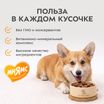 Влажный корм Мнямс На каждый день Кусочки в соусе с говядиной и печенью для собак всех пород «ЗДОРОВЫЕ СУСТАВЫ», 400 г — фото 7