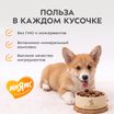 Влажный корм Мнямс На каждый день Кусочки в соусе с телятиной для щенков всех пород «ПРАВИЛЬНОЕ РАЗВИТИЕ», 400 г — фото 7