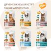 Лакомство Мнямс "Здоровая кожа и шерсть" хрустящие подушечки для кошек с птицей 60 г. — фото 9