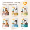 Лакомство Мнямс "Здоровые зубы" хрустящие подушечки для кошек с цыпленком 60 г. — фото 9