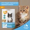Лакомство Мнямс Хрустящие подушечки для котят с цыпленком и яйцом "Здоровый котенок" 60 г. — фото 3