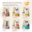 Лакомство Мнямс Хрустящие подушечки для котят с цыпленком и яйцом "Здоровый котенок" 60 г. — фото 9