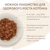 Лакомство Мнямс Хрустящие подушечки для котят с цыпленком и молоком "Здоровый котенок" 60 г — фото 6