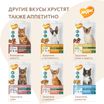 Лакомство Мнямс Хрустящие подушечки для стерилизованных кошек с цыпленком и клюквой "Профилактика МКБ" 60 г. — фото 9