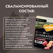 Влажный корм Мнямс Деликатес Куриное филе с говядиной в соусе для кошек 50 г — фото 8