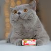 Влажный корм Мнямс Деликатес для кошек Тунец с креветками в нежном желе 70 г — фото 4