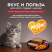 Влажный корм Мнямс Деликатес Телятина с овощами для котят старше 1 месяца "Паштет по-бельгийски" 100 г — фото 6