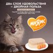 Влажный корм Мнямс Деликатес для взрослых и стерилизованных кошек «Ассорти двухслойных паштетов» 40 г х 6 шт. — фото 9