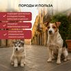 Лакомство Мнямс Деликатес Пармская косточка для собак размер S 35 г — фото 19
