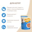 Влажный корм Мнямс На каждый день Кусочки в соусе с индейкой для котят старше 1 месяца 85 г — фото 6