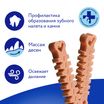 Лакомство Мнямс ДЕНТАЛ для собак "Зубные косточки" с говядиной 70г — фото 9