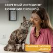 Лакомство Мнямс лакомые палочки для кошек из цыпленка и печени 3х5 г — фото 7