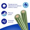 Лакомство Мнямс ДЕНТАЛ для собак "Зубные палочки" с хлорофиллом и кроликом 100 г — фото 9