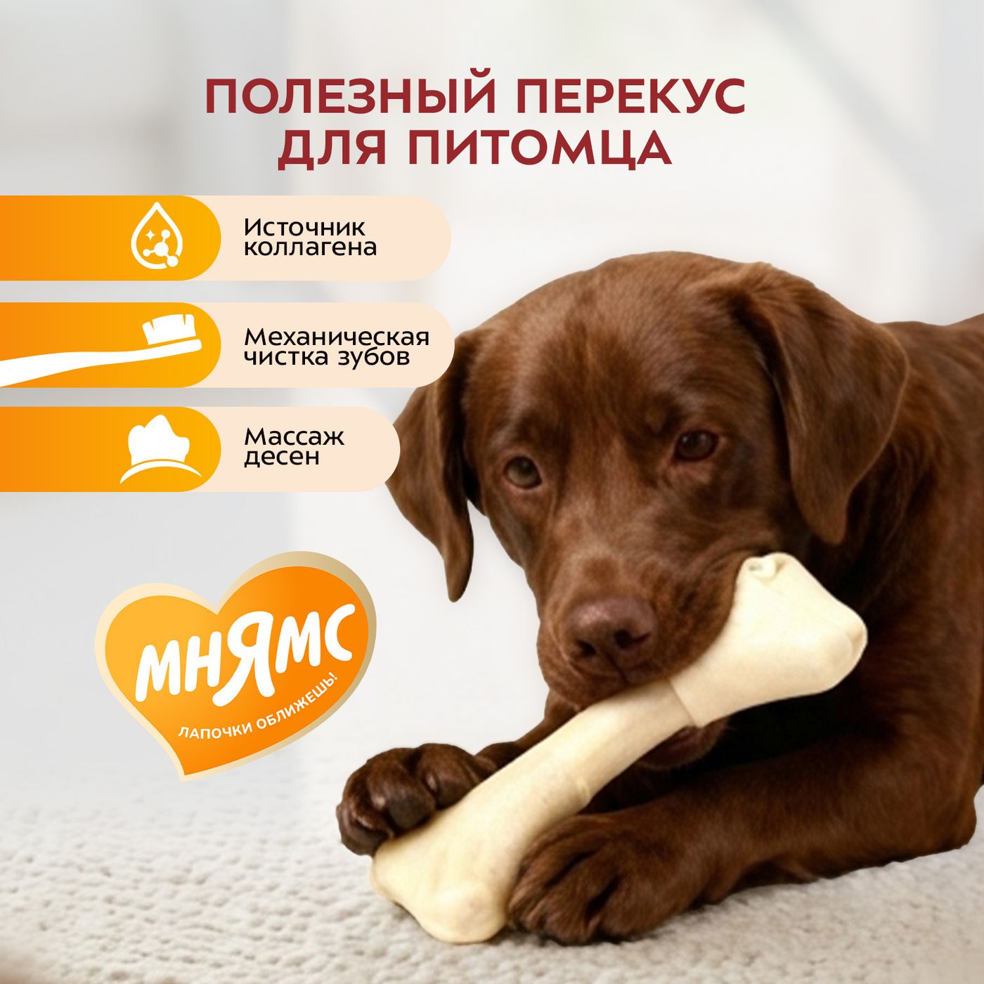 Лакомство Мнямс На каждый день для собак Косточка жевательная размер XXL 206 г — фото 3