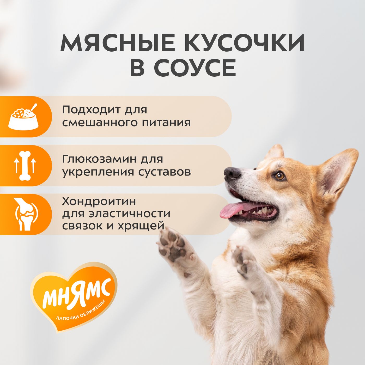 Влажный корм Мнямс На каждый день Кусочки в соусе с говядиной и печенью для собак всех пород «ЗДОРОВЫЕ СУСТАВЫ», 400 г — фото 5