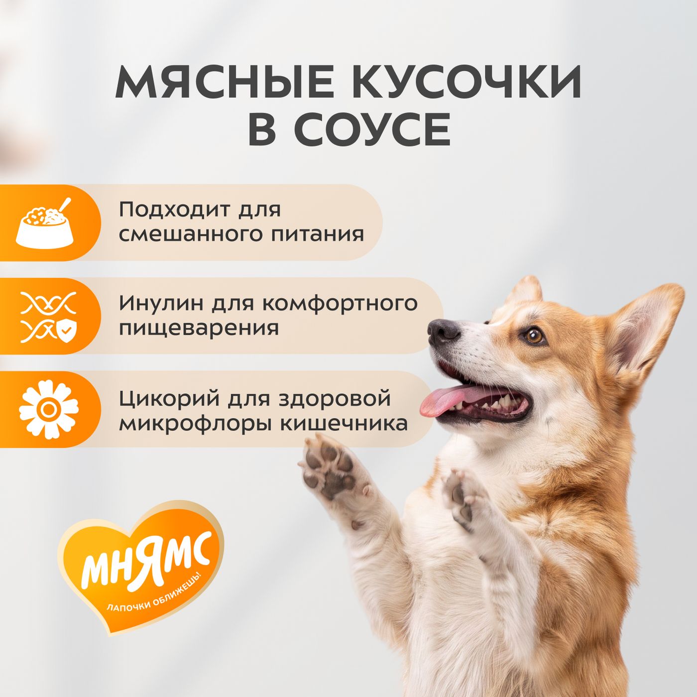 Влажный корм Мнямс На каждый день Кусочки в соусе с индейкой для собак всех пород «КОМФОРТНОЕ ПИЩЕВАРЕНИЕ", 400 г — фото 5