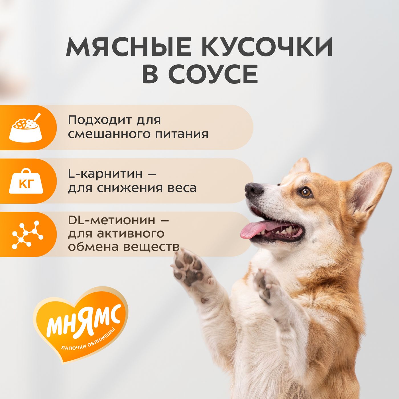 Влажный корм Мнямс На каждый день Кусочки в соусе с кроликом для собак всех пород «ФИТНЕС», 400 г — фото 5