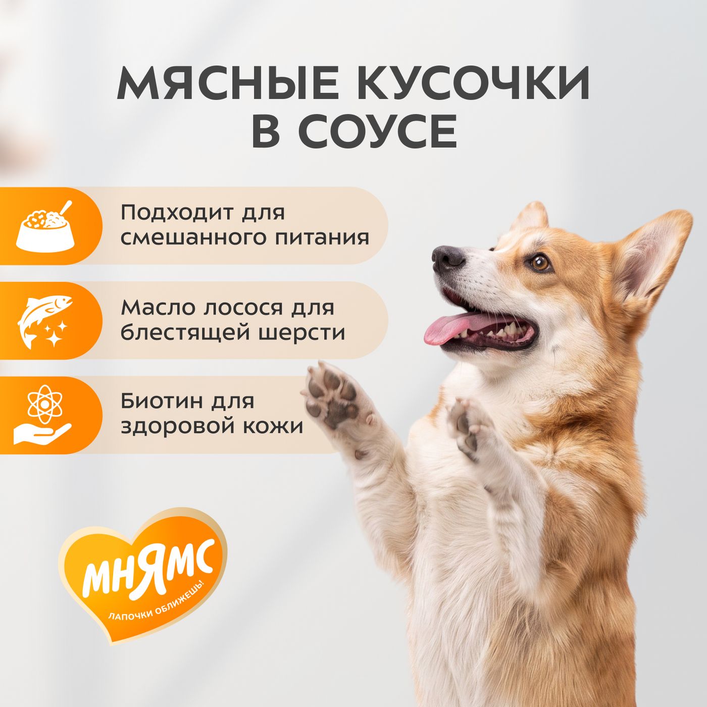 Влажный корм Мнямс На каждый день Кусочки в соусе с ягненком для собак всех пород «КРАСИВАЯ ШЕРСТЬ», 400 г — фото 5