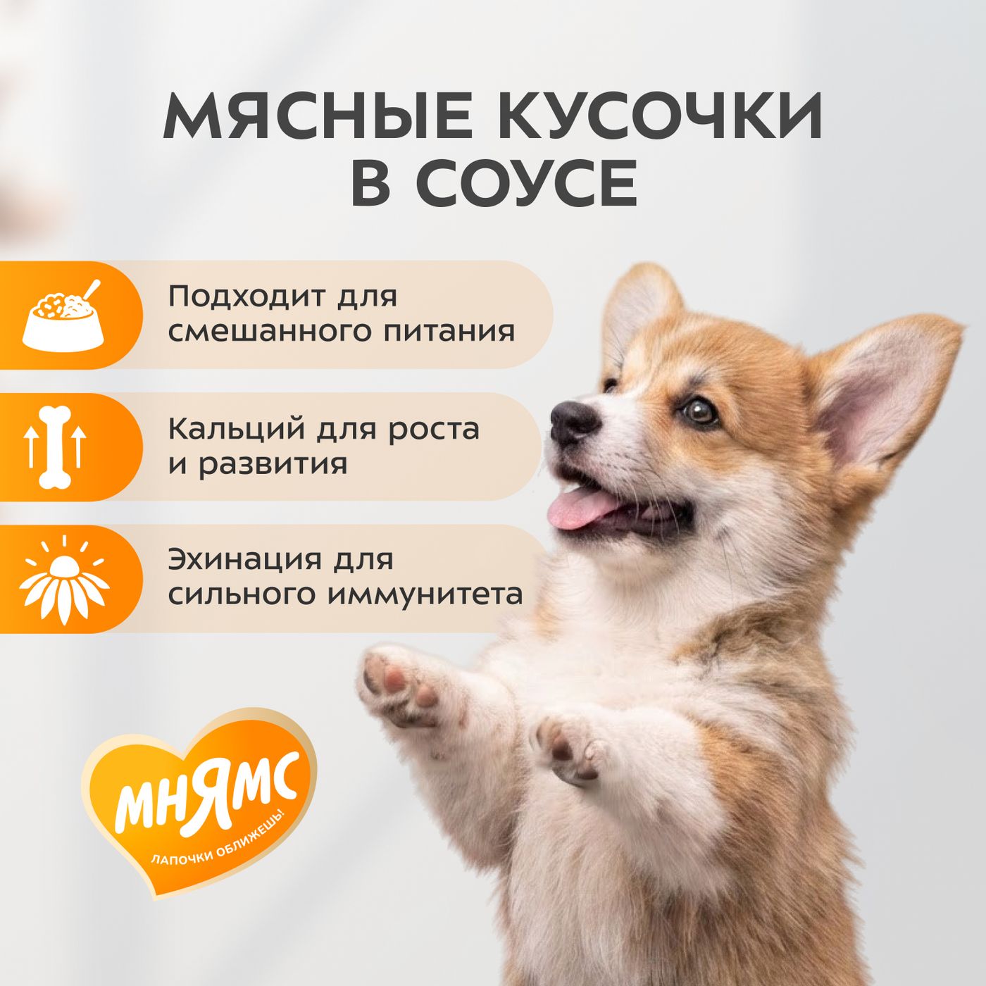 Влажный корм Мнямс На каждый день Кусочки в соусе с телятиной для щенков всех пород «ПРАВИЛЬНОЕ РАЗВИТИЕ», 400 г — фото 5