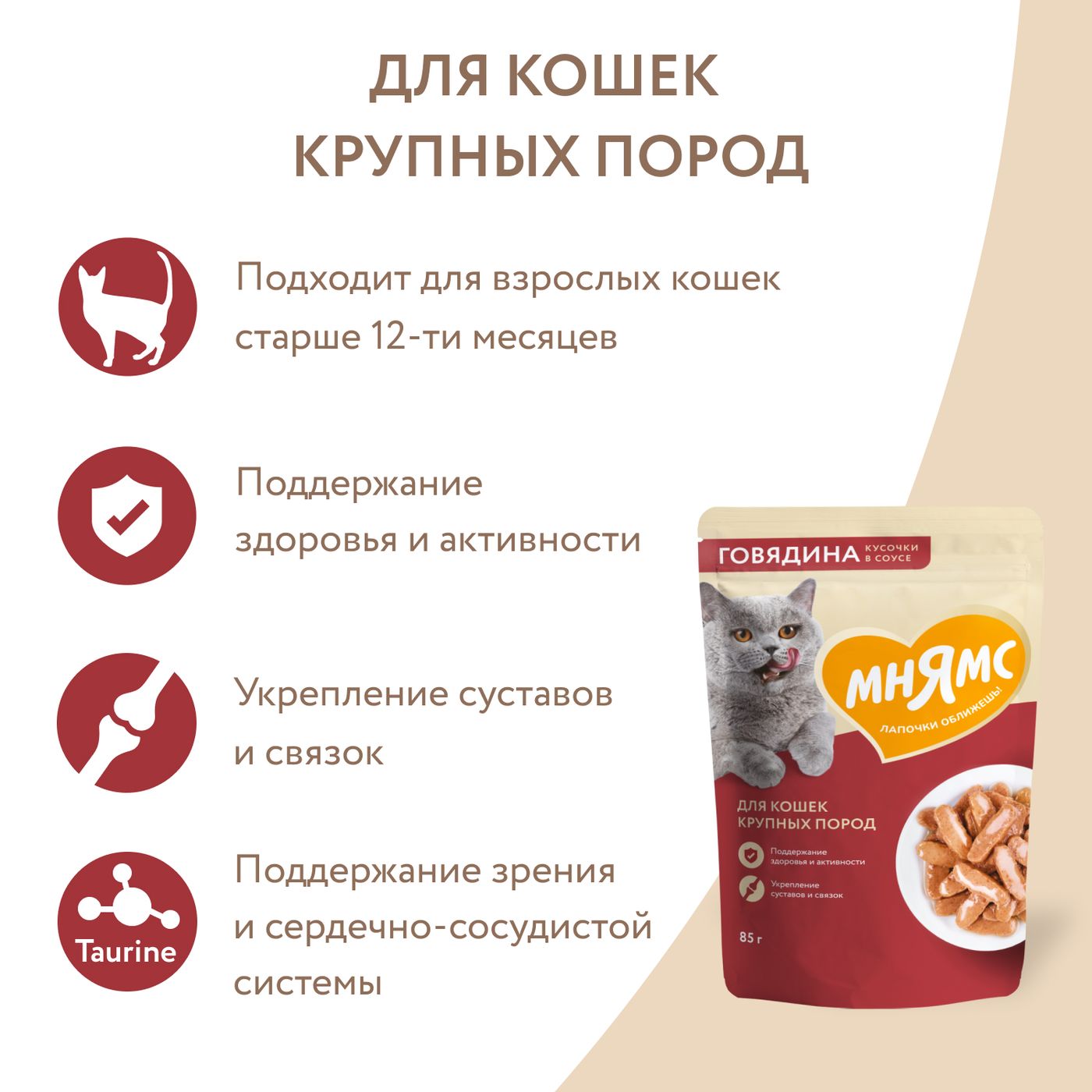 Влажный корм Мнямс На каждый день Кусочки в соусе с говядиной для крупных кошек 85 г — фото 6