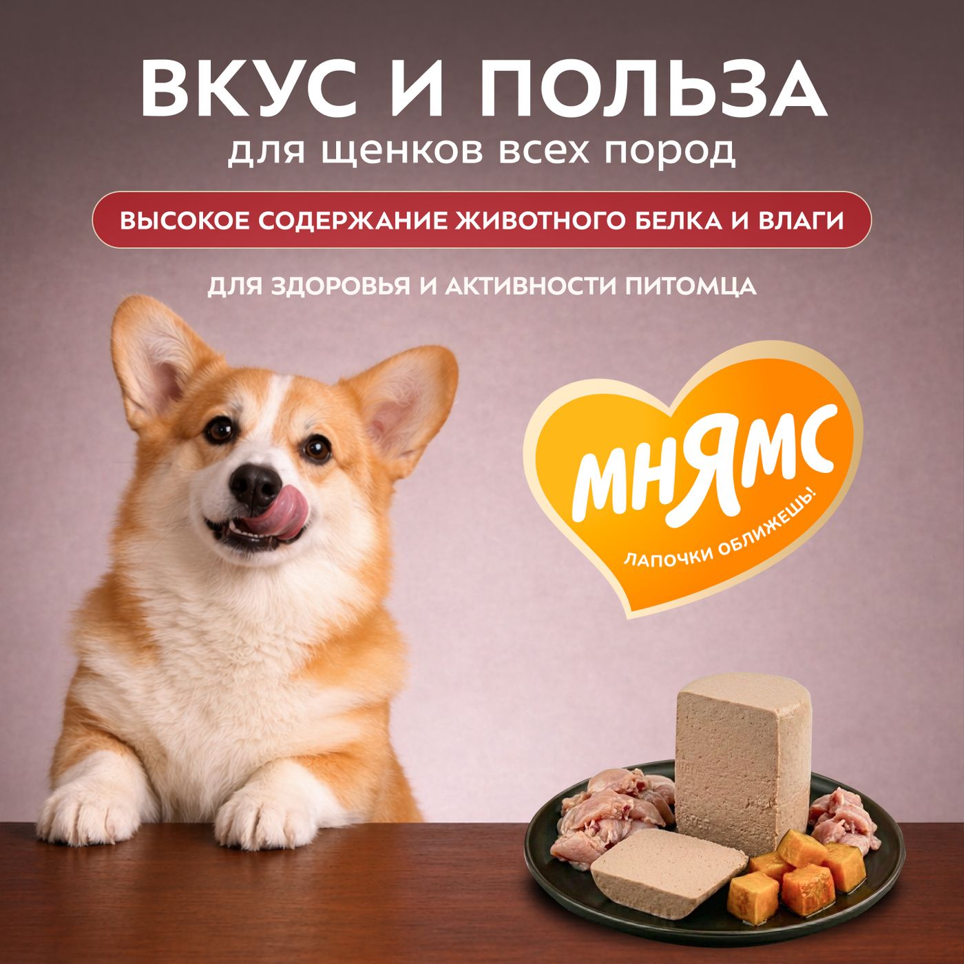 Влажный корм Мнямс Деликатес Паштет из перепёлки с тыквой для щенков всех пород "Потофё по-провански" 400 г — фото 5