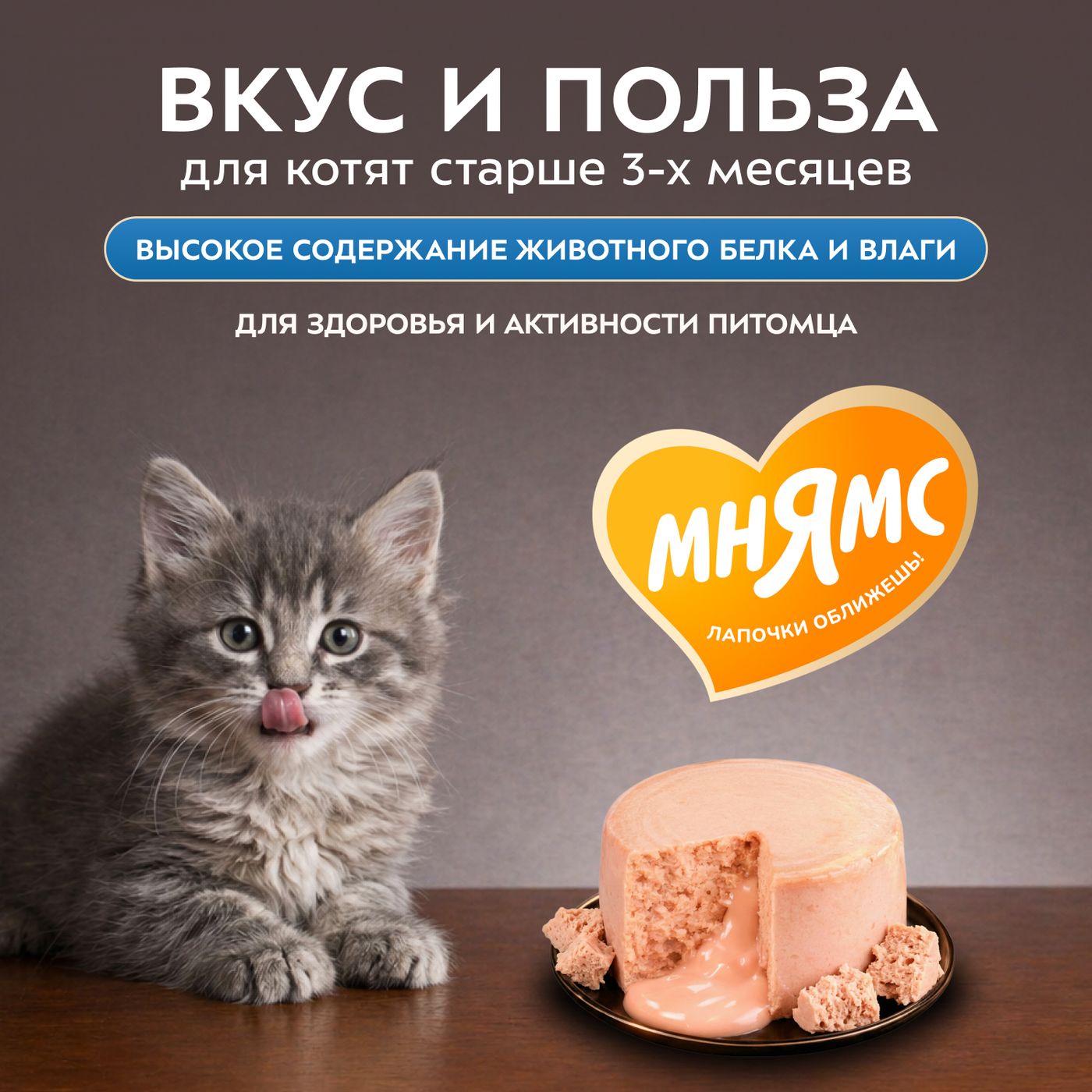 Влажный корм Мнямс Деликатес "Фондан" из мяса курицы с козьим молоком для котят старше 3 месяцев 80 г — фото 8