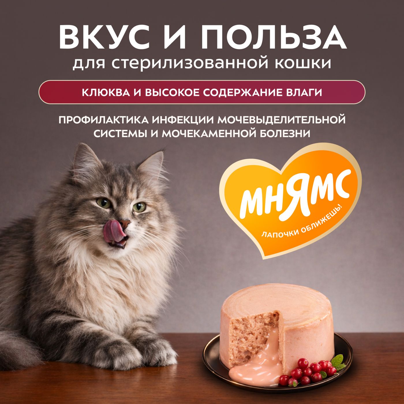 Влажный корм Мнямс Деликатес "Фондан" из мяса курицы с клюквой для стерилизованных кошек 80 г — фото 8