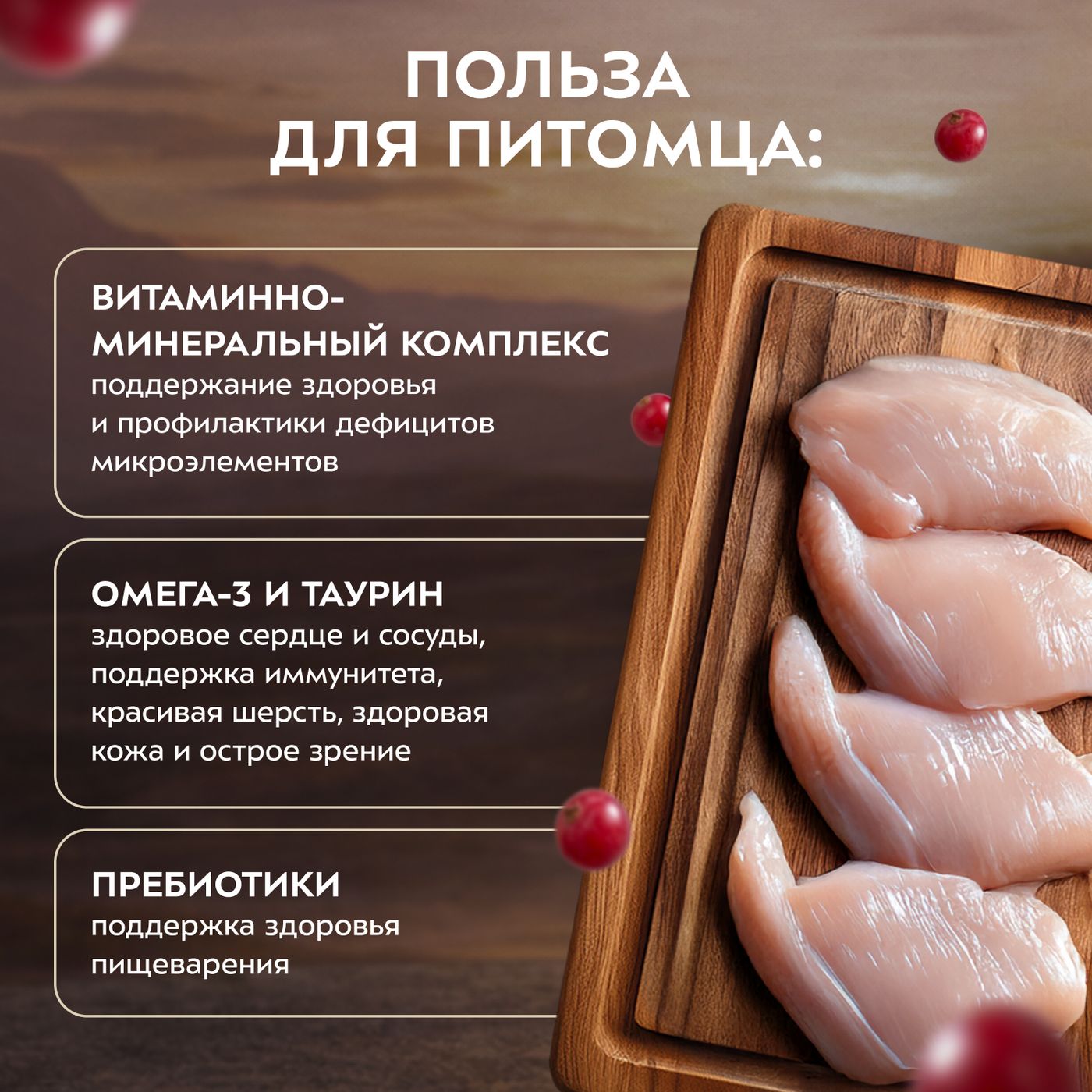 Влажный корм Мнямс Деликатес "Фондан" из мяса курицы с клюквой для стерилизованных кошек 80 г — фото 9