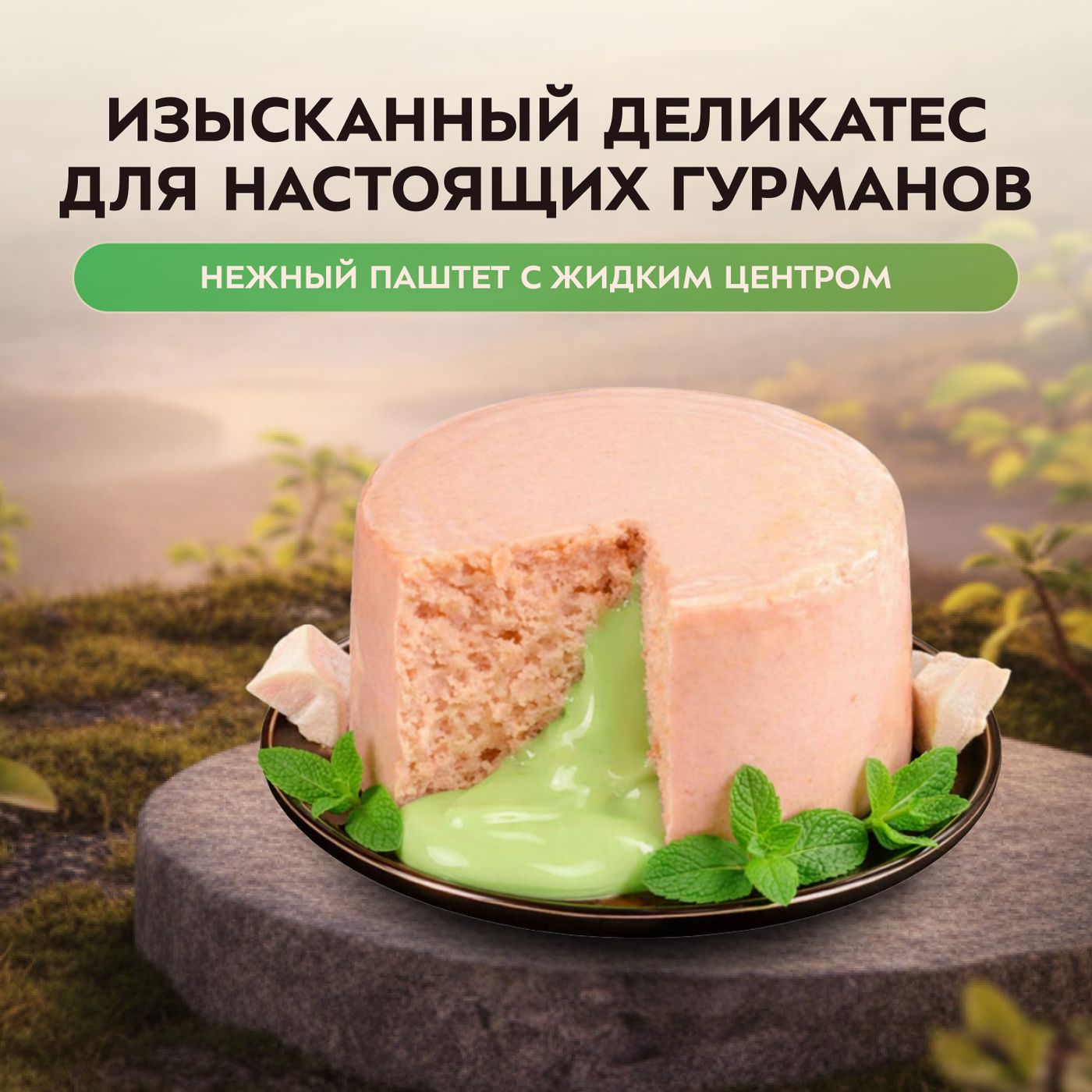 Влажный корм Мнямс Деликатес "Фондан" из мяса курицы с кошачьей мятой для кошек 80 г — фото 7