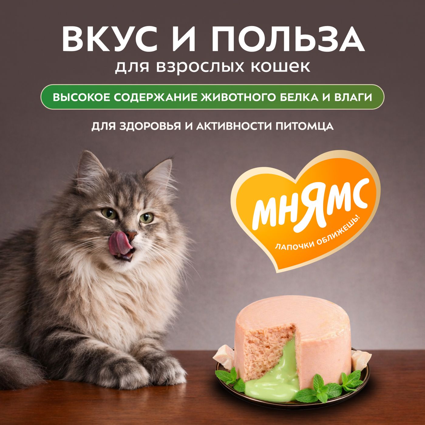 Влажный корм Мнямс Деликатес "Фондан" из мяса курицы с кошачьей мятой для кошек 80 г — фото 8