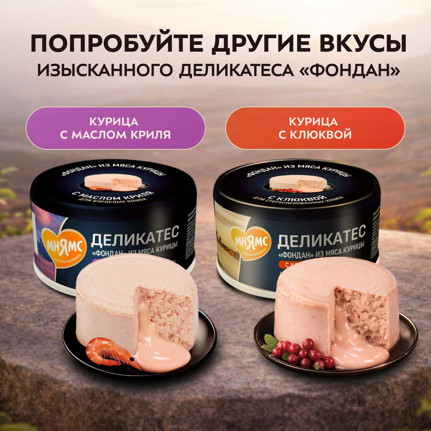 Влажный корм Мнямс Деликатес "Фондан" из мяса курицы с кошачьей мятой для кошек 80 г — фото 12