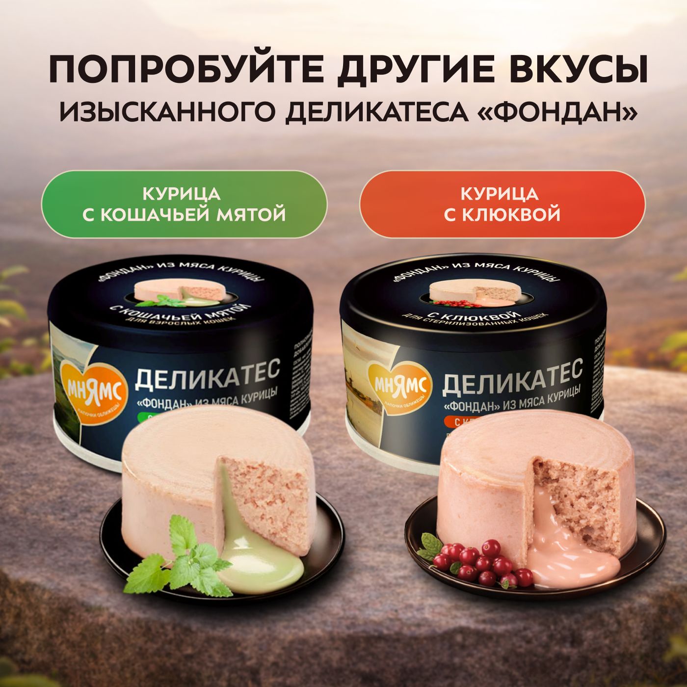 Влажный корм Мнямс Деликатес "Фондан" из мяса курицы с маслом криля для кошек 80 г — фото 12
