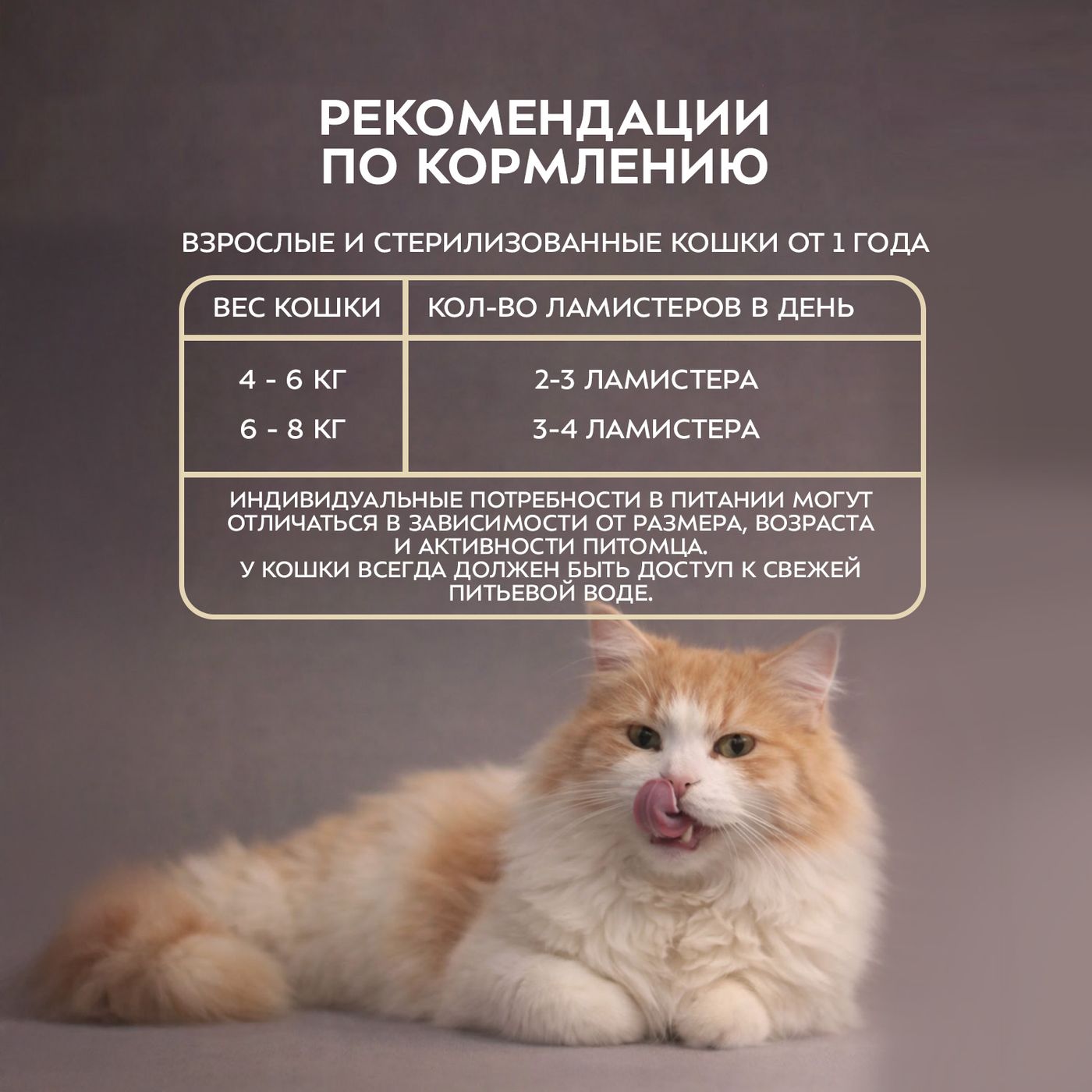 Влажный корм Мнямс Деликатес для взрослых и стерилизованных кошек «Ассорти двухслойных паштетов» 40 г х 6 шт. — фото 15