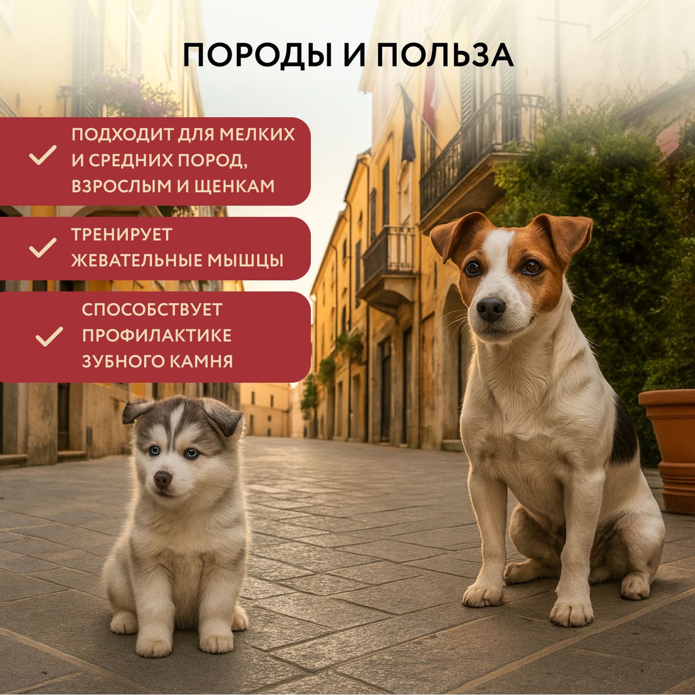 Лакомство Мнямс Деликатес Пармская косточка для собак размер S 35 г — фото 19