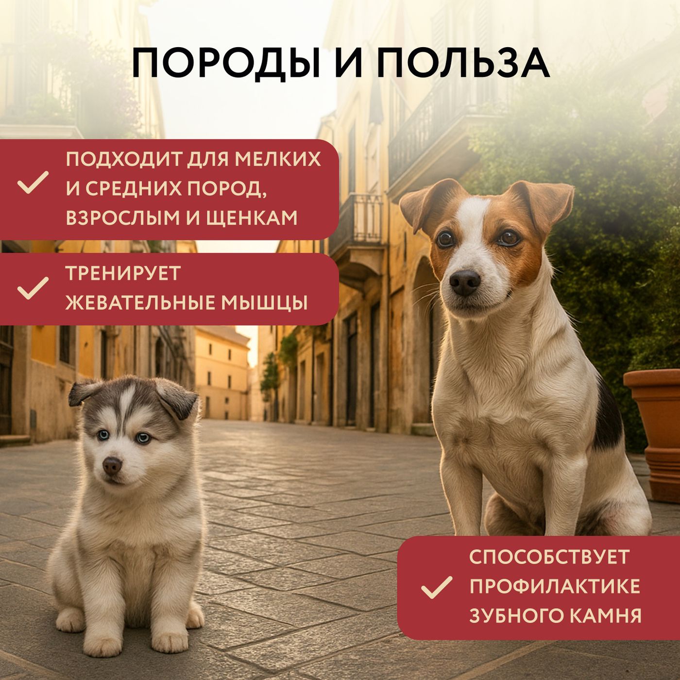 Лакомство Мнямс Деликатес Пармская косточка для собак размер S 35 г — фото 10
