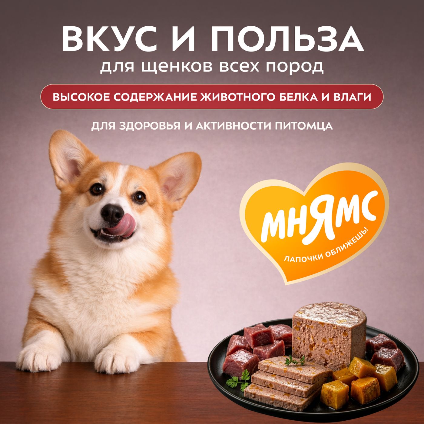 Влажный корм Мнямс Деликатес Паштет из телятины с тыквой для щенков всех пород "Асадо по-аргентински" 200 г — фото 5