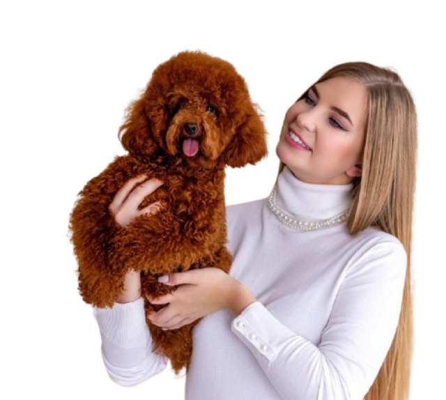 Мнямс | Лакомства и корма для собак и кошек